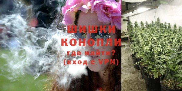 ECSTASY Белокуриха