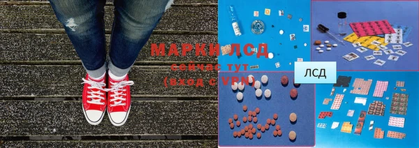 ECSTASY Белокуриха