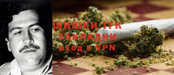 ECSTASY Белокуриха
