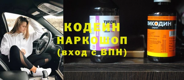 индика Балахна