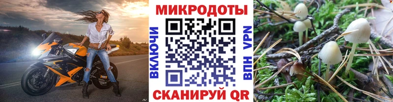 Псилоцибиновые грибы Psilocybe  Купить  Михайловка 